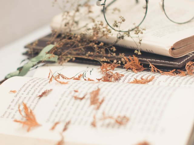 Blog